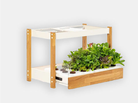 Eldergrow - Petit jardin d'intérieur