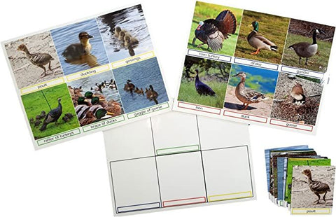 Match The Photos - Keeping Busy