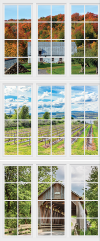 Sensory-scapes - Window murals
