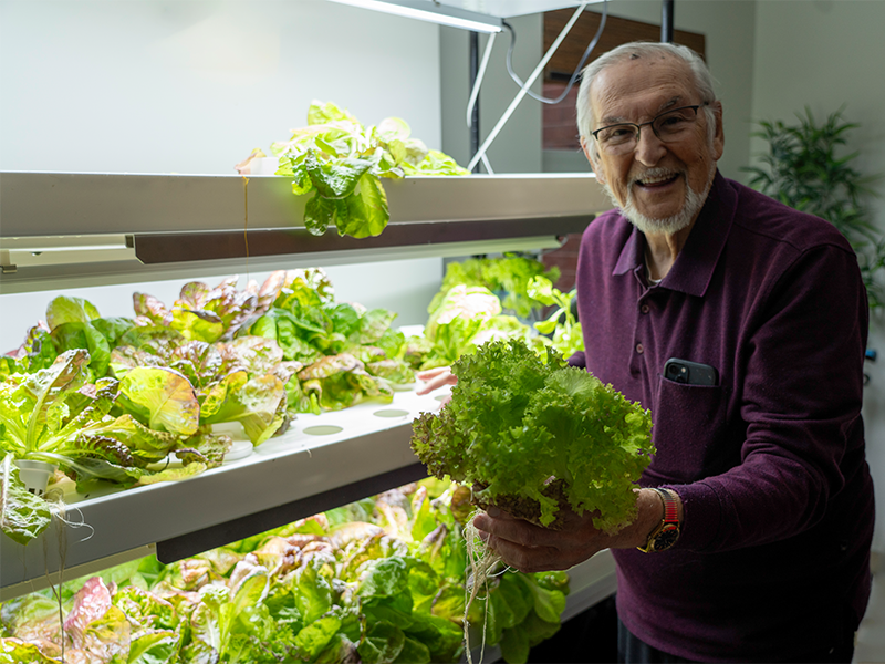 A_older_man_happily_harvesting_lettuce_from_the_Eldergrow_Hydroponic_Garden