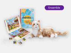 Companion and Thoughtful Activities Bundle (3 items) - Available in French & English
