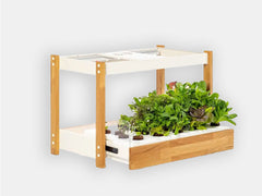 Eldergrow - Petit jardin d'intérieur