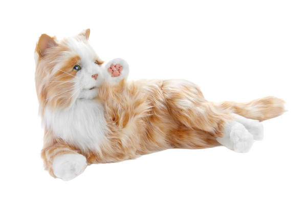 Joy For All - Companion Pet Cat - Eugeria | Eugeria