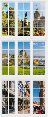 Window murals